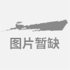 山东德隆银杏苗木基地