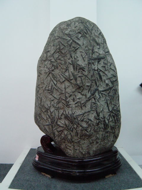 湖北竹叶石(帘外竹韵)(图)